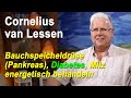 Bauchspeicheldrüse Pankreas Diabetes Milz energetisch behandeln | Cornelius van Lessen