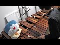 夢をかなえてドラえもんをマリンバで演奏してみた。