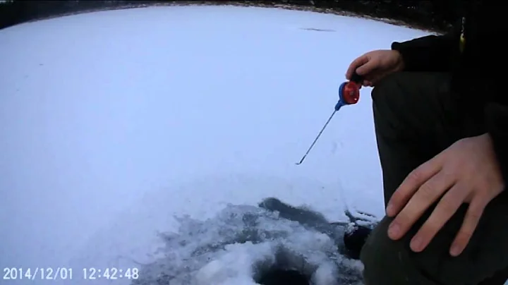 Fishing Perch with a Lure and epoxy treble