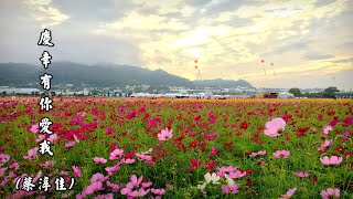 慶幸有你愛我  (蔡淳佳) (4K 5.1聲道)