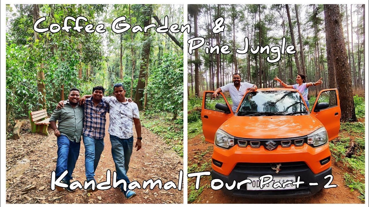 Kandhamal Tour Part 2 Daringbadi Coffee Garden Pine Jungle