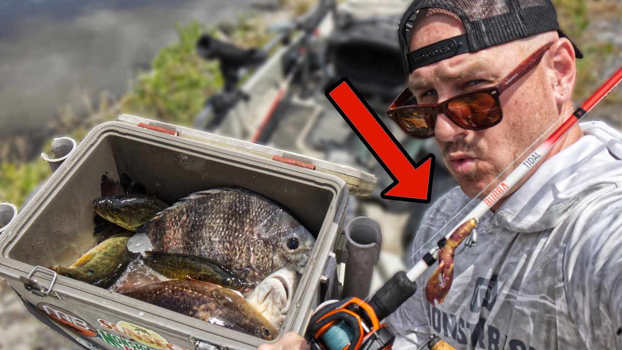 EVERYTHING wanted this BAIT ( Brackish Water Kayak Fishing ) YouTube