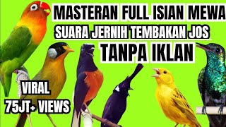Download Mp3 Top #1 masteran muari isian full tembakan  Gudang lagu Download Mp3 Top #1 masteran muari isian full tembakan