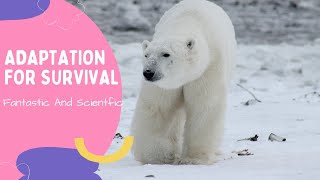Adaptation For Survival In Animals| Adaptation In Animals| Science For Kids | Adaptation For Grade 4