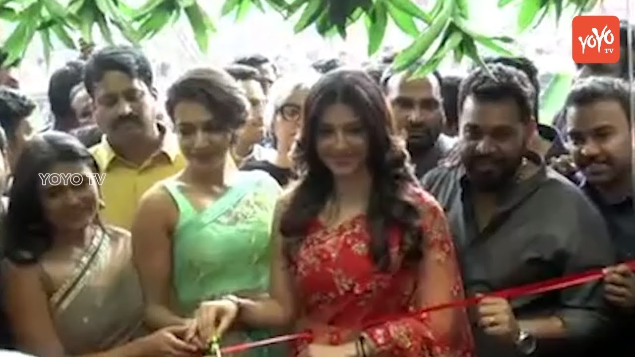 Mehreen Pirzada , Shalini Pandey & Catherine Launches KLM Fashion Mall at Vishakapatnam  | YOYO TV