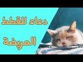 دعاء للحيوانات المريضة دعاء للحيوانات المريضة