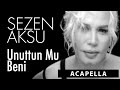 Sezen Aksu - Unuttun mu beni Acapella ( Müziksiz Vokal )   Şarkı Sözleri