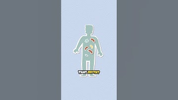 Do We Really Use Only 10% of Our Brain?