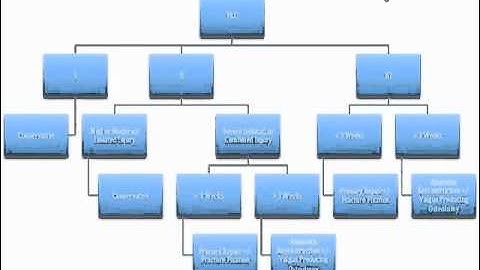 Knee Rotary Instability