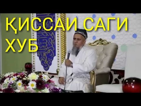 Домулло Абдурахим киссаи саг