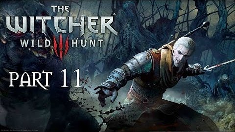 Witcher 3 Wild Hunt Deathmarch Part 11 The Nilfgaardian Connection