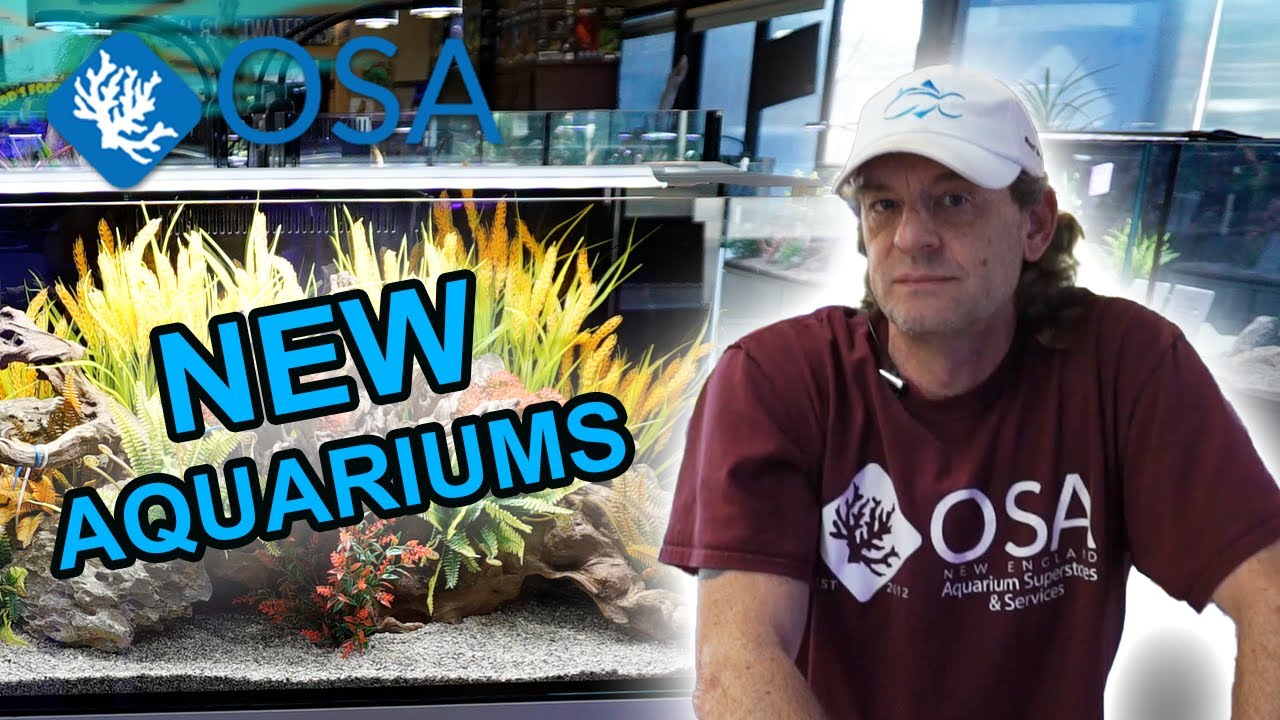 EVERY Aquarium at OSA Coventry (Blue Friday Starts NOW!) YouTube