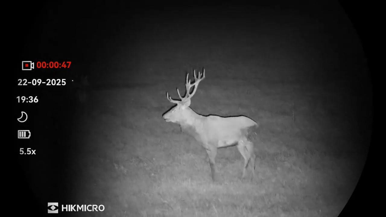 Hikmicro Habrok 4k HE25LN 