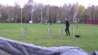Lilja hoppteknik 20/10