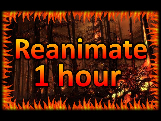 Reanimate by Warak - 1 hour class=