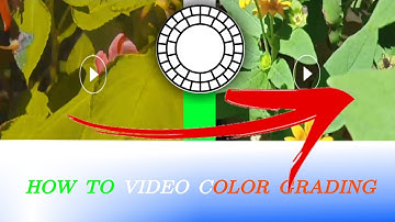 HOW to VIDEO COLOR  GRADING  VSCO APP