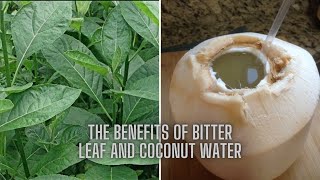 The Benefits of Bitter leaf and Coconut Water