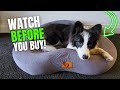 ESCRODOI Dog Bed Review: Luxury Your Dog Deserves