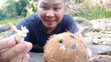 🔥How To Open Coconuts Without Any Tools! Easy Way Of Cracking Coconuts!
