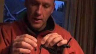 Articulated Flesh Fly