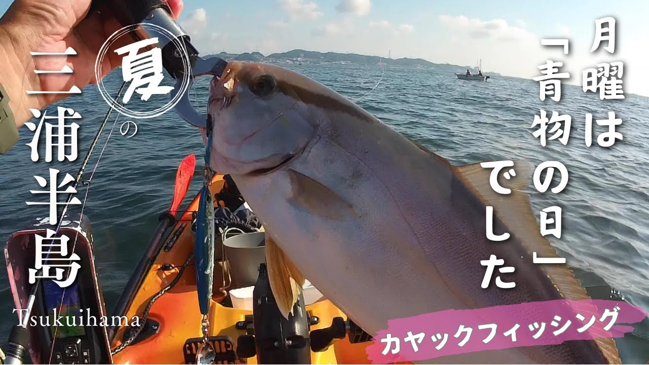 夏の三浦半島 月曜は「青物の日」でした [カヤックフィッシング] ワラサ, カンパチ, の若魚