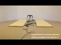 Model-free RL for Robust Locomotion Using Trajectory Optimization for Exploration