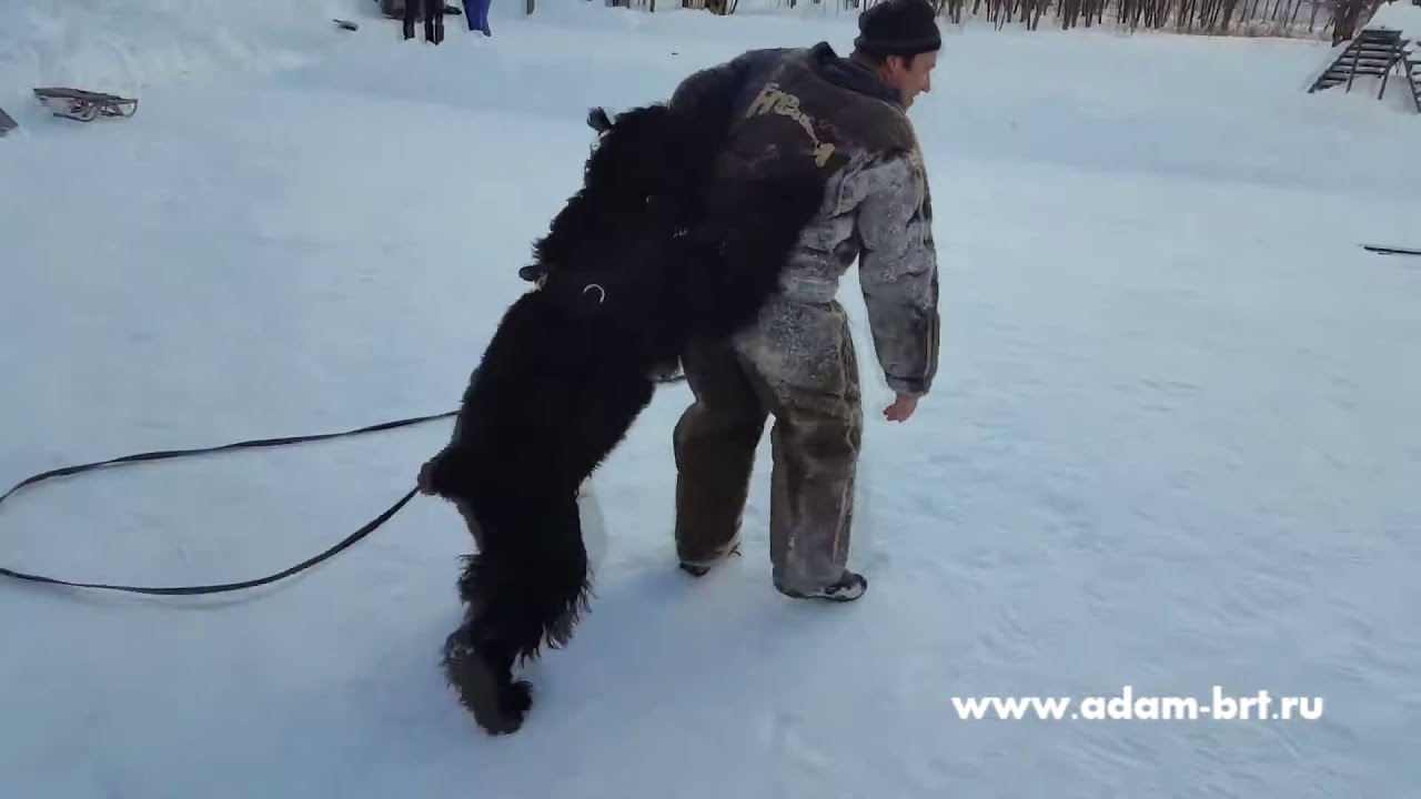 Winter BRT Protection Training * Зимняя тренировка РЧТ защиты
