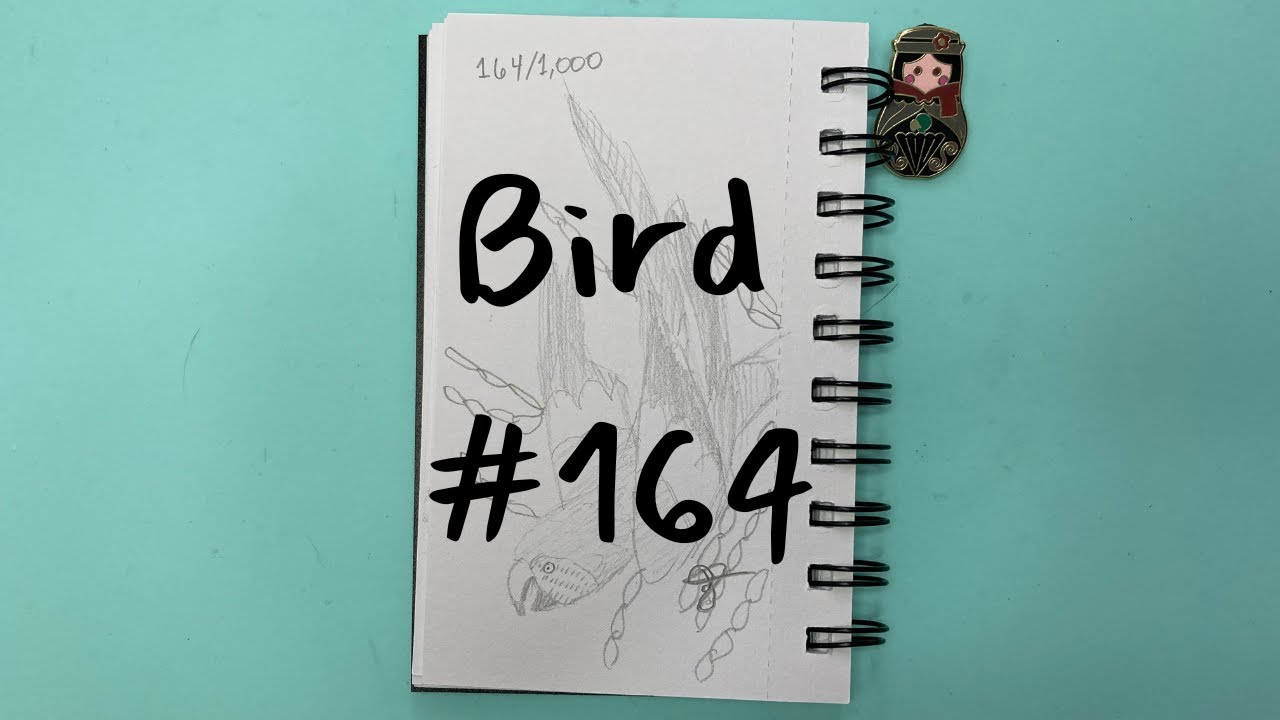 Draw 1,000 Birds With Me Macaw 5 of 10 - YouTube