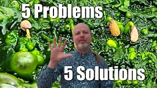 How to Solve 5 Common Seed Starting Problems by Casual Gardening with Dustin 153 views 2 months ago 8 minutes, 31 seconds