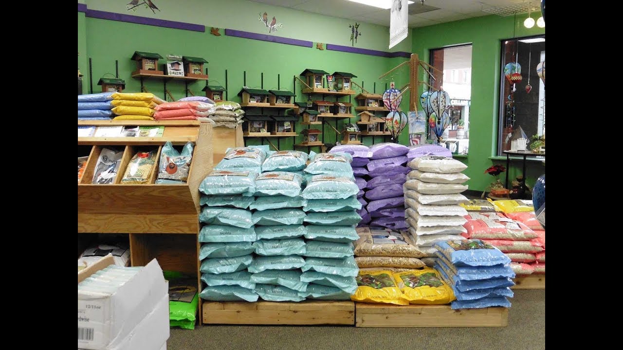 Wild Bird Center of Annapolis, MD Store Tour YouTube
