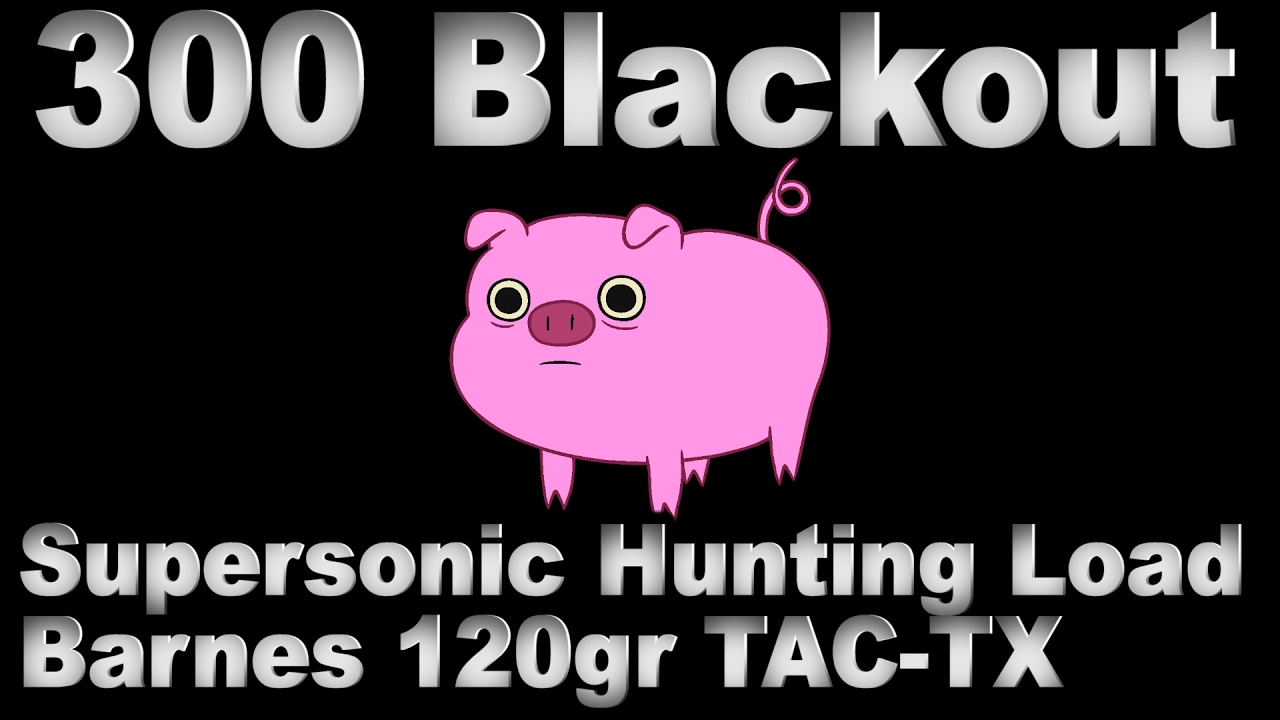 300 BLK Supersonic Hunting Load with 120gr Barnes TAC-TX