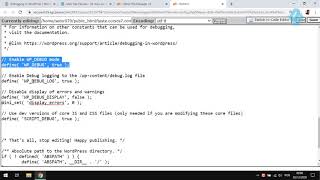 39008 - Curso Debug WordPress - Configurando Wp Config Net Worth