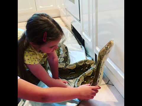 handling yourself in success and failure My daughter teaching her friend about snakes.