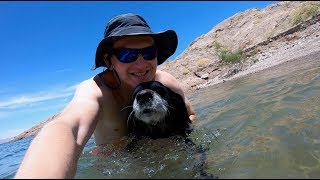 Vegas Vlog: My Dog Tries to Save Me From Drowning! | Lake Mead, NV