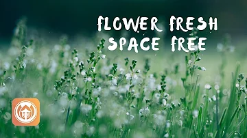 Flower Fresh Meditation | Brother Thay Phap Lai