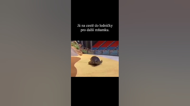 Já na cestě do ledničky pro další mňamku #memes #funny #duet #sad #lol #humor #shortvideo #best