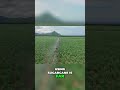 Sugarcane Ethanol: Efficient, But Is It Sustainable? #shorts