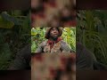 Dwayne Johnson’s Brutal Kevin Hart Roast Breaks the Internet