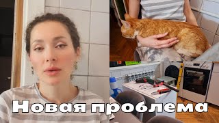 Я Из Донбасса(Торецк)Киев 05.12.23 Новая Проблема🐾💊/Обновление Кухни🔧/Торецк-Громко💥