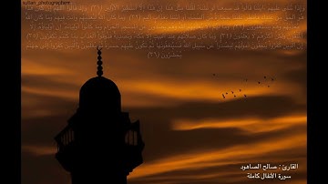 أجمل تلاوة لسورة الأنفال بصوت القارئ صالح الصاهود