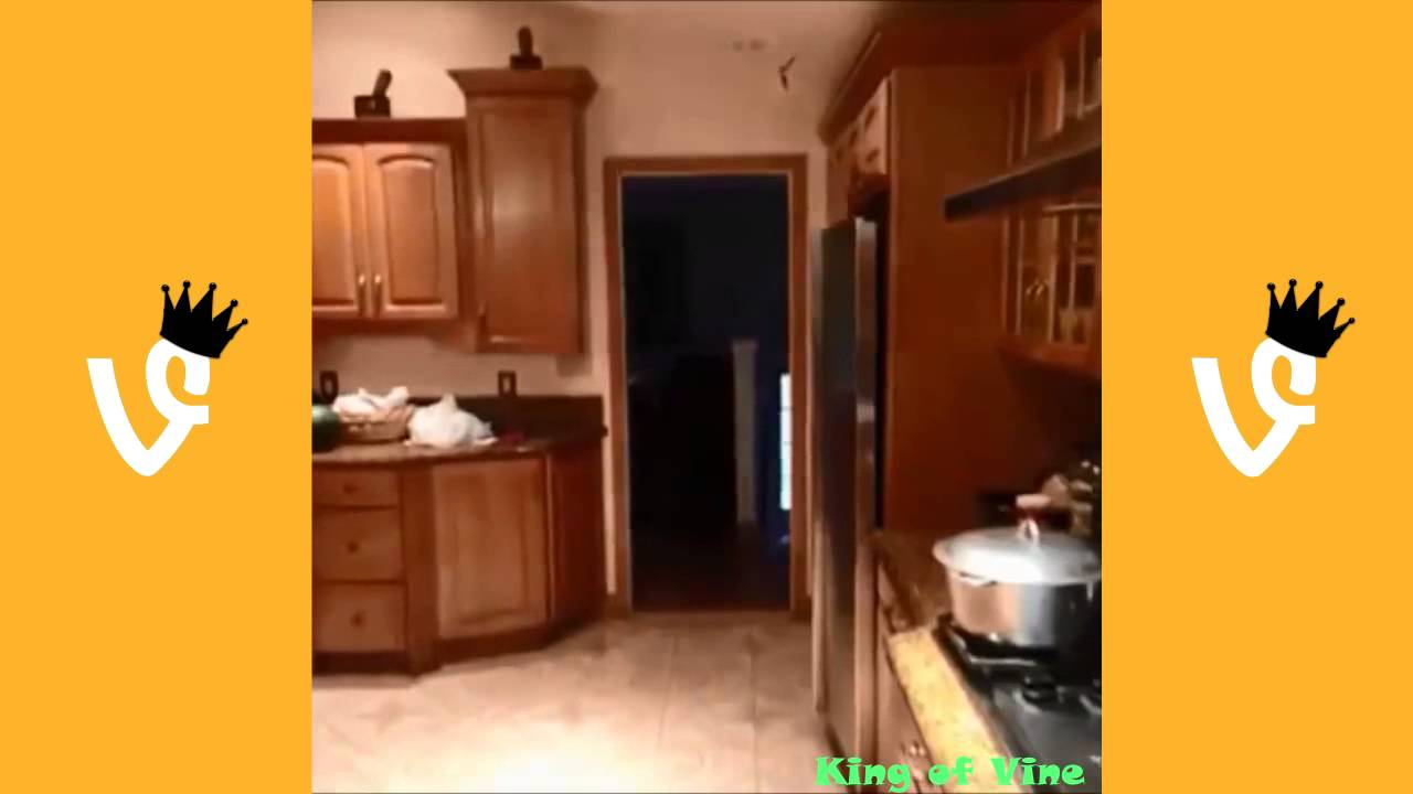 Best Vine Compilation (86 VINES !) August 2013  