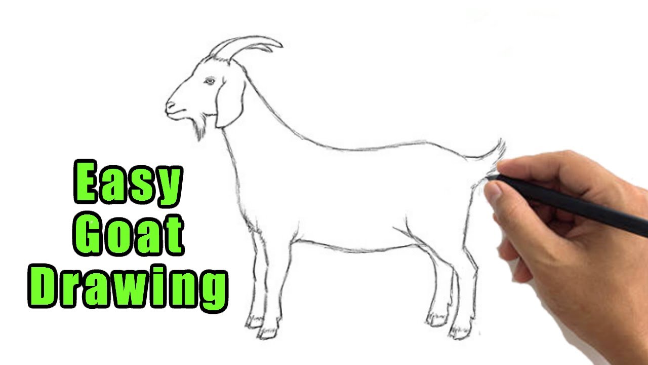 Goat Drawing Images  Free Download on Freepik