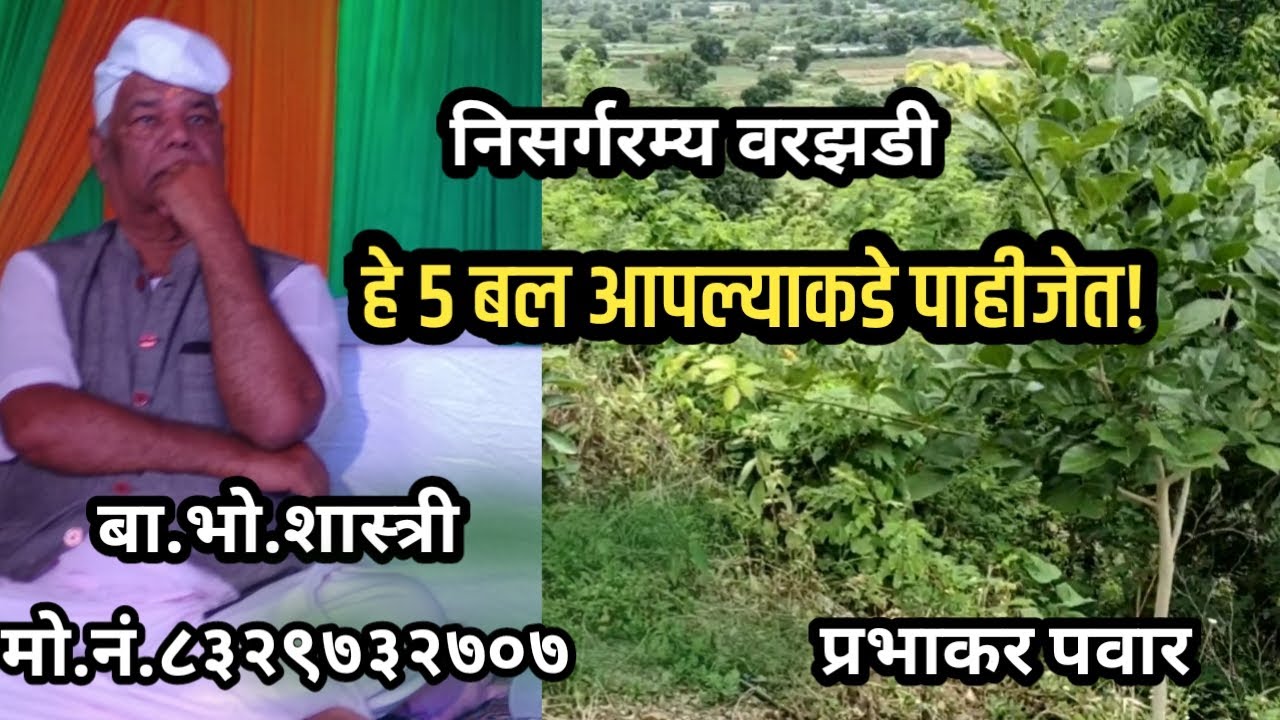 बाभुळगावकर शास्त्री | श्री दत्त मंदीर वरझडी | Prabhakar Pawar | ba.bho.shastri | babhulgavkar baba