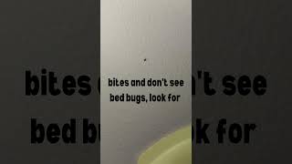 If You Have Bites, and Can’t Find Bed Bugs Check for Bird Mites! #bedbuginspection #birdmites