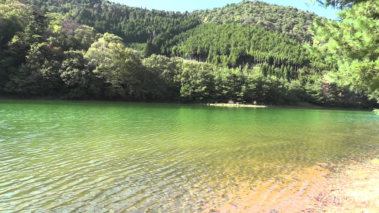 京都 沢 の 池