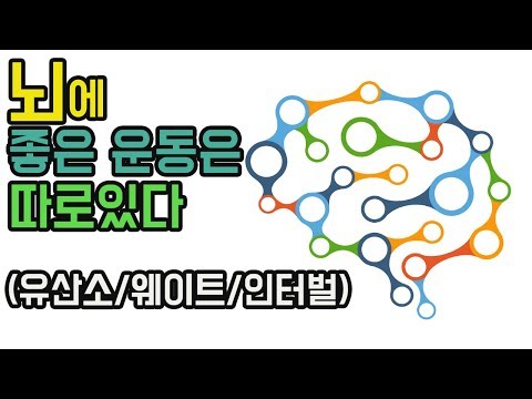 뇌에 좋은 운동은 따로있다 (뇌운동/달리기 효과/전두엽 발달운동)