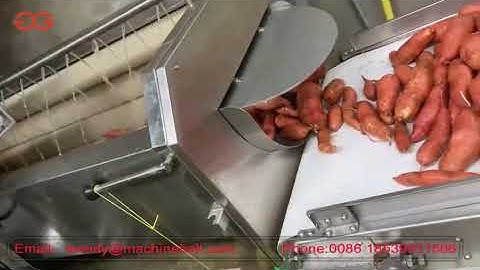 Sweet Potato Washing Line Washing Drying Sorting Machine