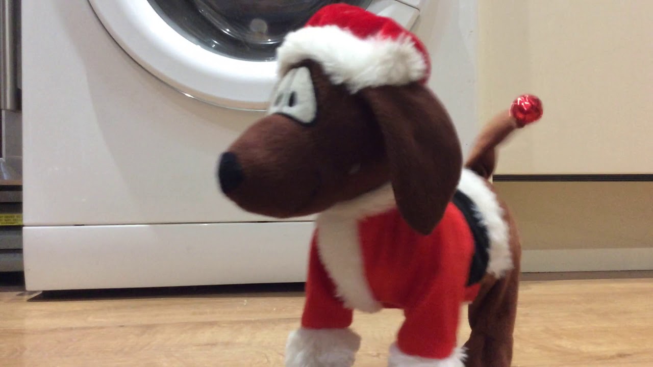Sausage Dog Dancing YouTube