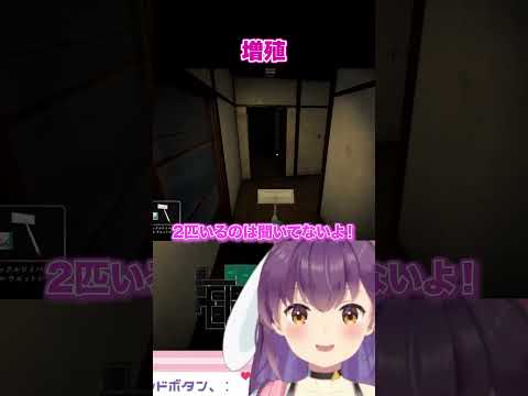 増えるとか‥聞いてないんですけど…？
