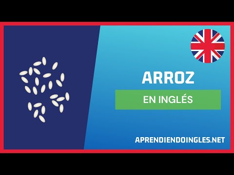 ✅ CÓMO se dice ARROZ en INGLÉS 2022 🚀 APRENDE A ESCRIBIR RICE ✨ PRONUNCIACIÓN ARROZ EN INGLES 2023